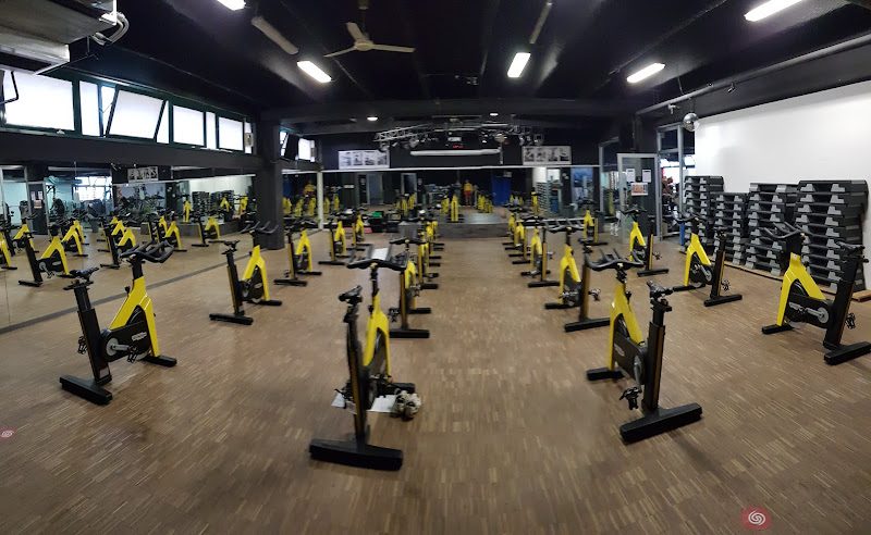 Focus Fit