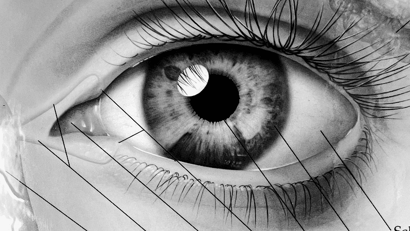 Studio Oculistico Dott.ssa Paola Flore