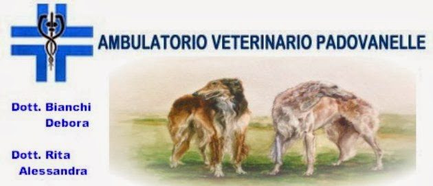 Ambulatorio Veterinario Padovanelle Di Bianchi Debora