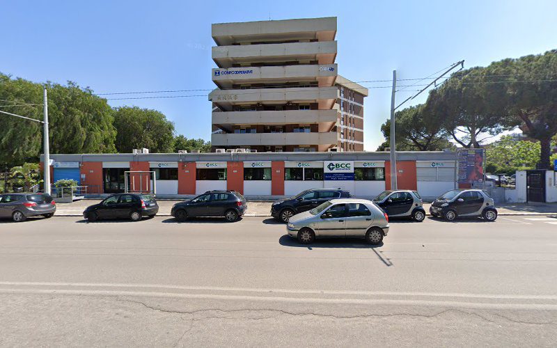 Meridionale Servizi Scarl